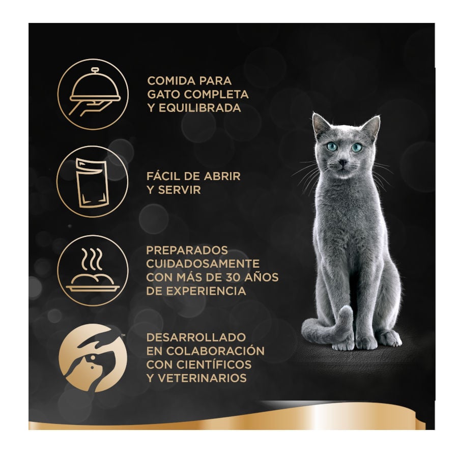 12 sobres x 85 g Sheba Selezione Pescados Salsa en Bolsita para Gatos , , large indicador imagen numero 6